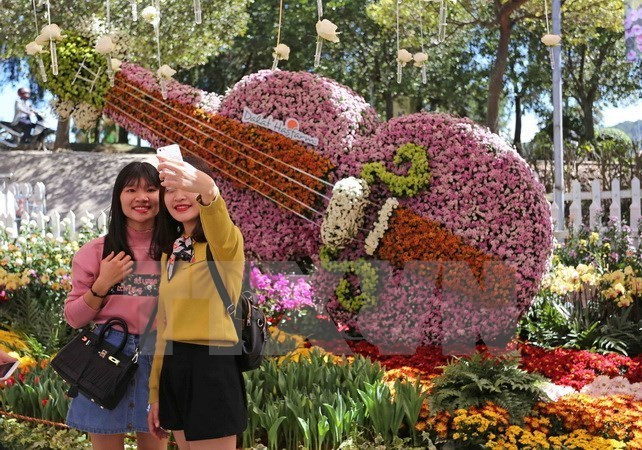 Rendez-vous au Festival des fleurs de Da Lat en décembre ảnh 1