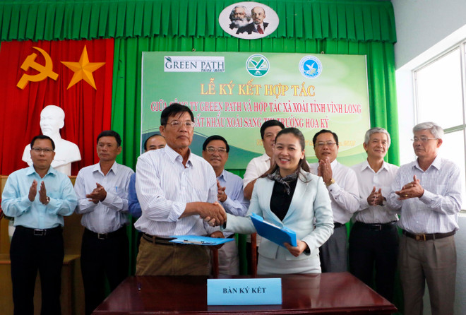 Vinh Long : Coopération dans l'exportation de mangues vers le marché américain ảnh 1 Vinh Long : Coopération dans l'exportation de mangues vers le marché américain ảnh 1