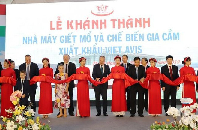 Inauguration de l’usine de transformation de la volaille Viet Avis à Thanh Hoa ảnh 1 Inauguration de l’usine de transformation de la volaille Viet Avis à Thanh Hoa ảnh 1