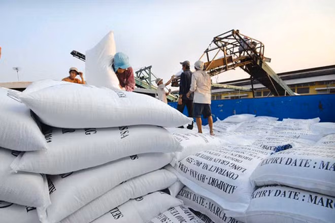 Can Tho : 2 milliards de dollars d'import-export en 2018 ảnh 1 Can Tho : 2 milliards de dollars d'import-export en 2018 ảnh 1