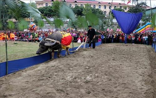 La fête de "Lông tông" attire les foules à Tuyên Quang ảnh 2 La fête de "Lông tông" attire les foules à Tuyên Quang ảnh 2