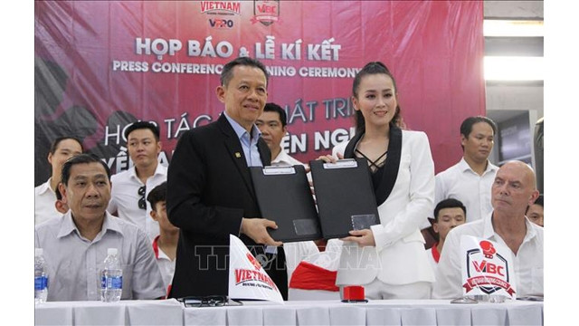 Développement de la boxe professionnelle du Vietnam ảnh 1 Développement de la boxe professionnelle du Vietnam ảnh 1