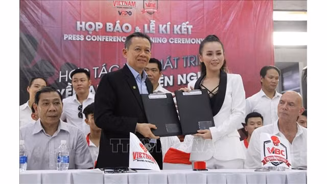 Développement de la boxe professionnelle du Vietnam ảnh 1