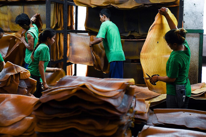 La Thaïlande devient le premier exportateur mondial de caoutchouc ảnh 1 La Thaïlande devient le premier exportateur mondial de caoutchouc ảnh 1