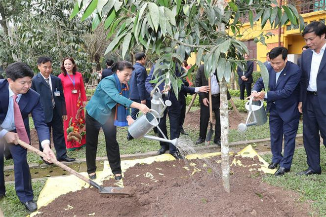 La présidente de l'AN plante un arbre dans la zone commémorative du Président Hô Chi Minh ảnh 1 La présidente de l'AN plante un arbre dans la zone commémorative du Président Hô Chi Minh ảnh 1