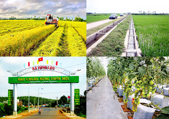 Nouvelle ruralité : 4.402 communes du pays satisfont aux normes ảnh 1 Nouvelle ruralité : 4.402 communes du pays satisfont aux normes ảnh 1