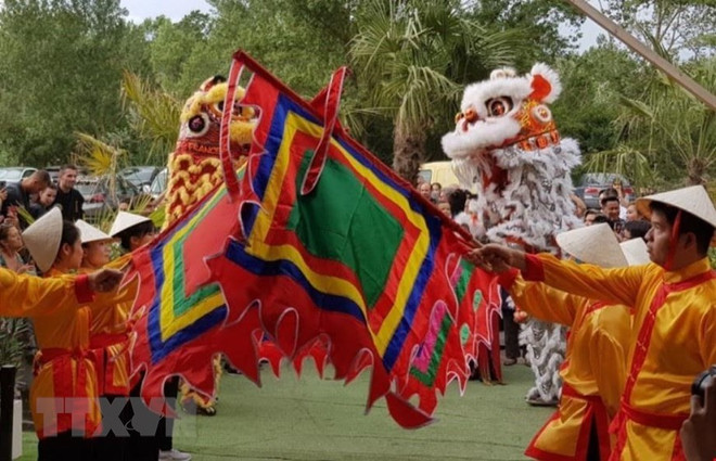 Le premier Festival du Vietnam à Lyon, en France ảnh 1 Le premier Festival du Vietnam à Lyon, en France ảnh 1