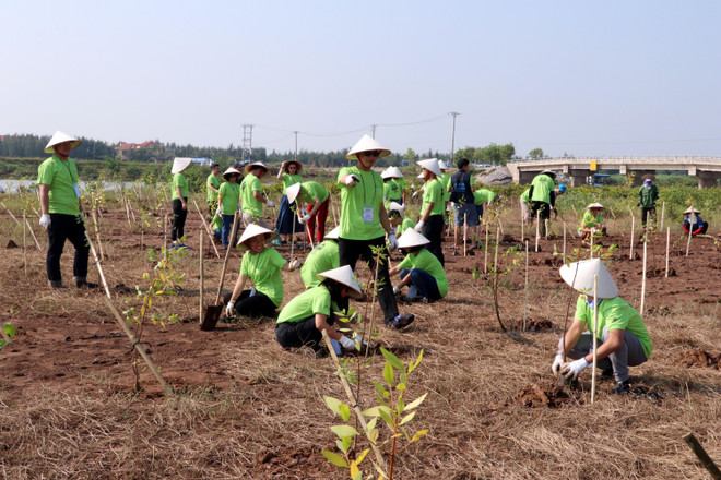 Organisation du programme « I Green We Green Vietnam » à Nam Dinh ảnh 2 Organisation du programme « I Green We Green Vietnam » à Nam Dinh ảnh 2