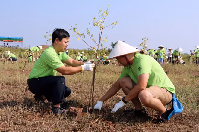 Organisation du programme « I Green We Green Vietnam » à Nam Dinh ảnh 1