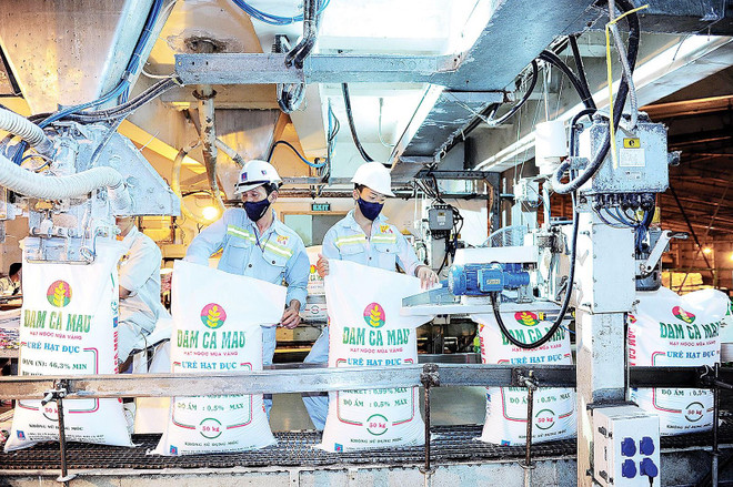 L'usine d'azote de Ca Mau célèbre sa six millionième tonne d'urée ảnh 1