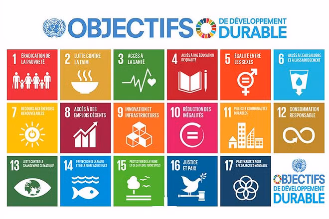 Un programme belge soutient des projets de développement du Vietnam ảnh 1 Un programme belge soutient des projets de développement du Vietnam ảnh 1