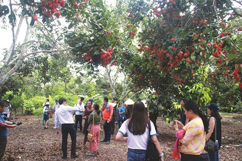 Le tombeau de Cu Thach - Hàng Gon à Long Khanh ảnh 1 Le tombeau de Cu Thach - Hàng Gon à Long Khanh ảnh 1