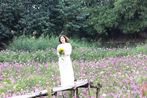 Le parc floral de Hô Tây, une destination prisée à Hanoï ảnh 2 Le parc floral de Hô Tây, une destination prisée à Hanoï ảnh 2