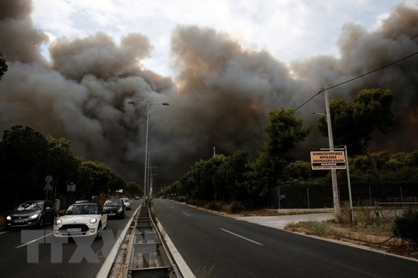 Incendies de forêt en Grèce: message de sympathie au président grec Prokopis Pavlopoulos ảnh 1 Incendies de forêt en Grèce: message de sympathie au président grec Prokopis Pavlopoulos ảnh 1