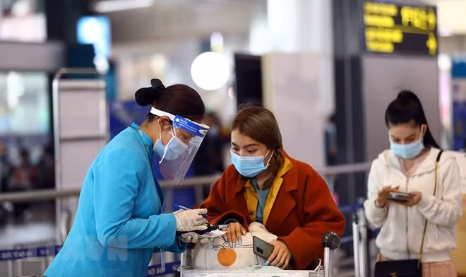 Covid-19 : refus de transporter les passagers qui n’effectuent pas la déclaration médicale ảnh 1