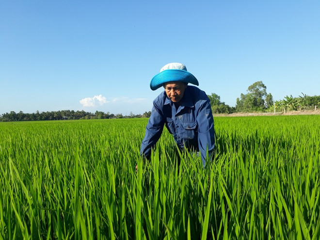 Tant qu’il y a du riz… ảnh 1