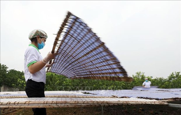 Bac Giang allouera plus de 14 millions de dollars pour la promotion industrielle d’ici 2025 ảnh 1 Bac Giang allouera plus de 14 millions de dollars pour la promotion industrielle d’ici 2025 ảnh 1