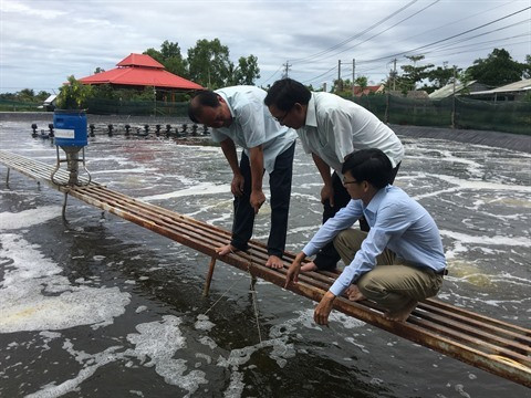 Des mesures pour développer la filière aquacole du Vietnam d’ici 2030 ảnh 1 Des mesures pour développer la filière aquacole du Vietnam d’ici 2030 ảnh 1