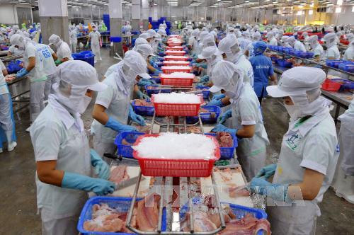 Le Vietnam et les États-Unis boostent leur coopération dans l’agriculture ảnh 1 Le Vietnam et les États-Unis boostent leur coopération dans l’agriculture ảnh 1