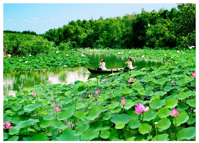 Dông Thap : la Fête des fleurs de lotus 2018 ảnh 1