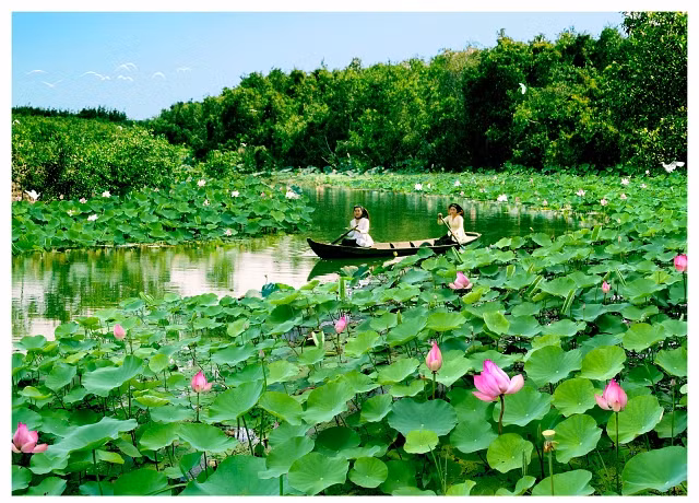 Dông Thap : la Fête des fleurs de lotus 2018 ảnh 1 Dông Thap : la Fête des fleurs de lotus 2018 ảnh 1