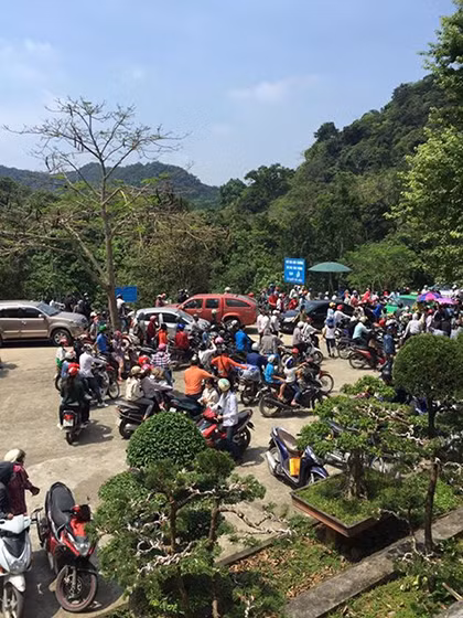 Pour que le tourisme rime avec protection de l’environnement ảnh 1