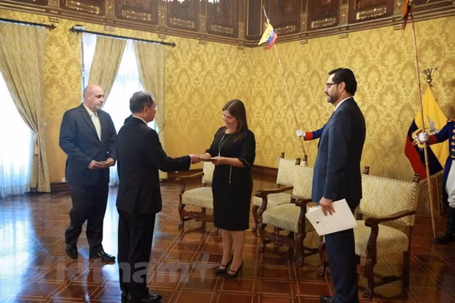 Renforcement de la coopération multiforme Vietnam-Equateur ảnh 1
