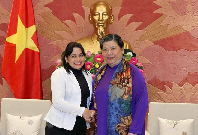 Promouvoir les relations des jeunesses vietnamiennes et cubaines ảnh 1 Promouvoir les relations des jeunesses vietnamiennes et cubaines ảnh 1