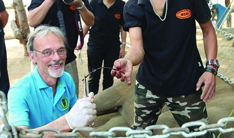Un Néerlandais au chevet des derniers éléphants vietnamiens ảnh 3 Un Néerlandais au chevet des derniers éléphants vietnamiens ảnh 3