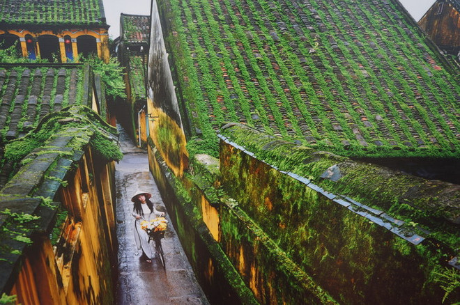 Les réalisations socio-économiques de la province de Quang Nam en images ảnh 3 Les réalisations socio-économiques de la province de Quang Nam en images ảnh 3