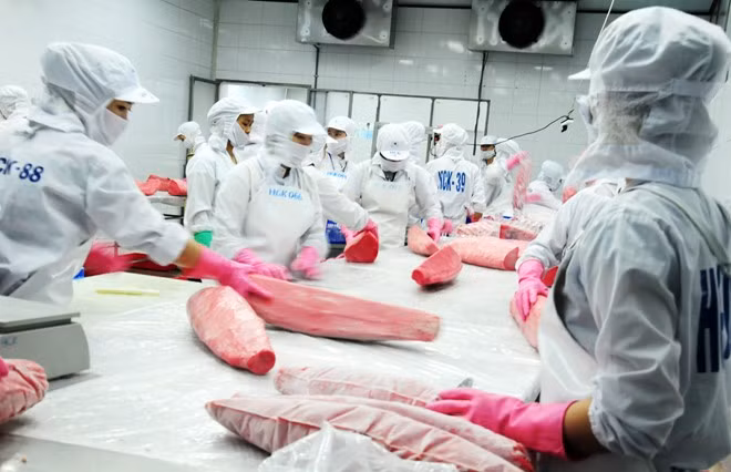 Thon: croissance impressionnante des exportations vietnamiennes en Tunisie ảnh 1