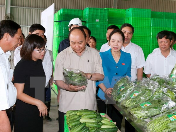 Le Premier ministre demande à Vinh Bao de développer l'agriculture high-tech ảnh 2 Le Premier ministre demande à Vinh Bao de développer l'agriculture high-tech ảnh 2