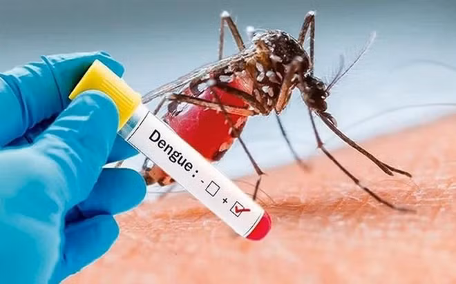  La dengue a tendance à se propager largement au Laos ảnh 1