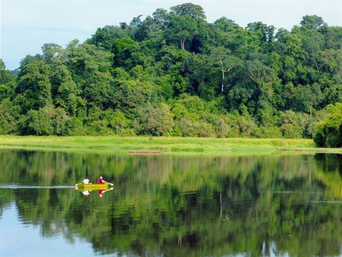 Écosystèmes marins en péril ảnh 2 Écosystèmes marins en péril ảnh 2