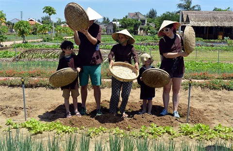 La découverte maritime et insulaire a le vent en poupe à Quang Nam ảnh 2