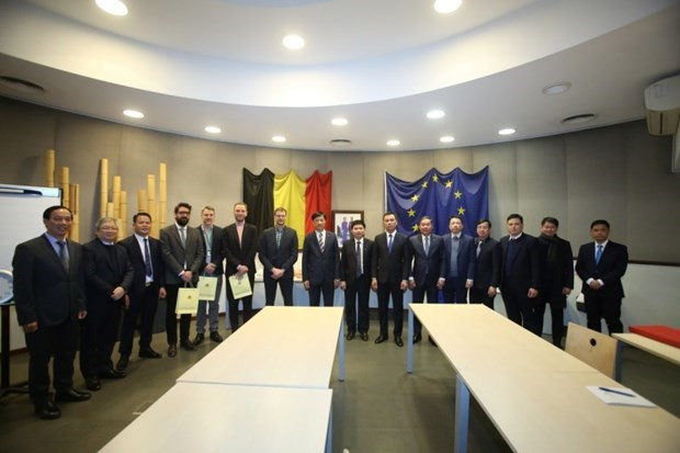 Le Vietnam et la Belgique partagent leur expérience dans la création de bases de données sur la population ảnh 1