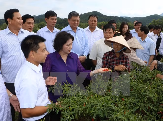 Lang Son appelée à améliorer son environnement d'investissement ảnh 1