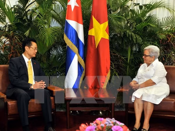 Les relations Vietnam-Cuba ne cessent de se développer ảnh 1