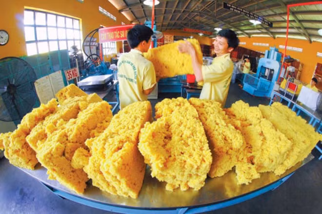 Caoutchouc: excédent commercial de plus de 820​M d’USD en neuf mois ảnh 1