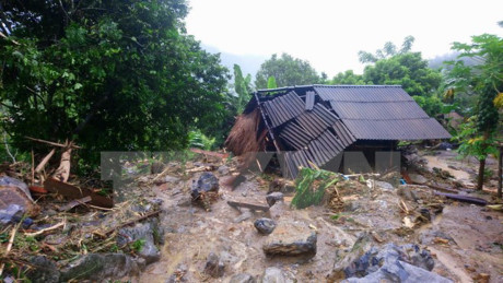 Le Japon au chevet des localités vietnamiennes touchées par les inondations ảnh 1 Le Japon au chevet des localités vietnamiennes touchées par les inondations ảnh 1