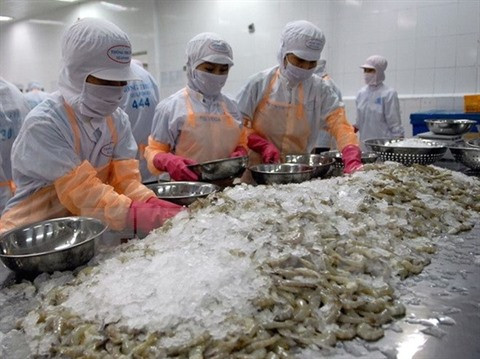 Économie vietnamienne : de bons résultats en 2016 ảnh 1 Économie vietnamienne : de bons résultats en 2016 ảnh 1