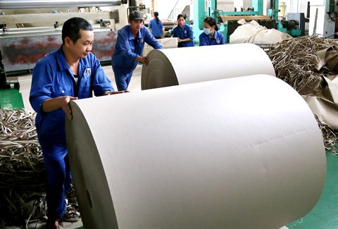 Chômeurs à 35 ans : la tragédie paradoxale des ouvriers vietnamiens ảnh 1