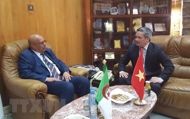 Vietnam et Algérie renforcent leur coopération économique ảnh 1 Vietnam et Algérie renforcent leur coopération économique ảnh 1