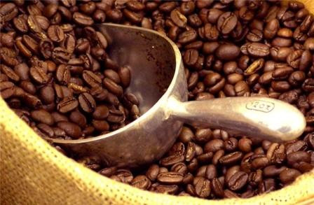 Les Algériens apprécient le café vietnamien ảnh 1 Les Algériens apprécient le café vietnamien ảnh 1