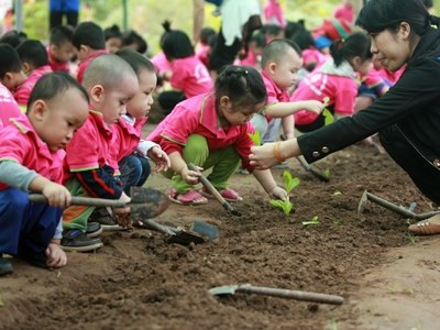 Plan pour l'éducation maternelle 2016-2017 ảnh 1 Plan pour l'éducation maternelle 2016-2017 ảnh 1