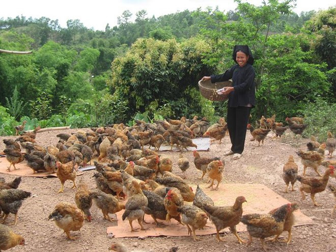 Bac Giang s’efforce de baisser de 2 % par an son taux de pauvreté ảnh 1 Bac Giang s’efforce de baisser de 2 % par an son taux de pauvreté ảnh 1