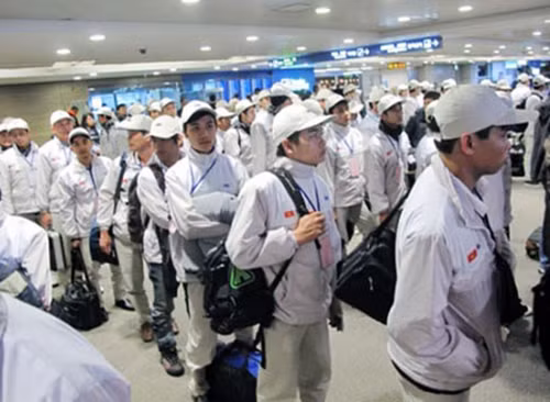 Plus de 54.000 travailleurs vietnamiens envoyés à l’étranger au 1er semestre ảnh 1