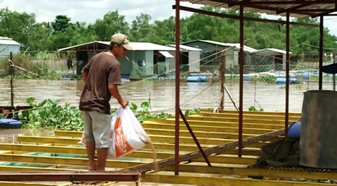 L’exposition Vietfish 2016 programmée début août ảnh 1 L’exposition Vietfish 2016 programmée début août ảnh 1