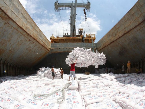 De belles opportunités pour les exportations de riz en Algérie ảnh 1