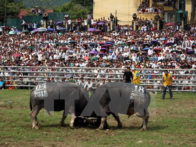 Les fêtes traditionnelles du début du printemps attirent de nombreux visiteurs ảnh 3 Les fêtes traditionnelles du début du printemps attirent de nombreux visiteurs ảnh 3